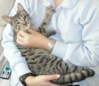 Circe Bild von Clea
