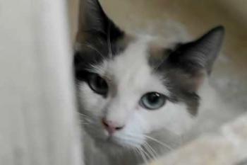 Bild von Kiki