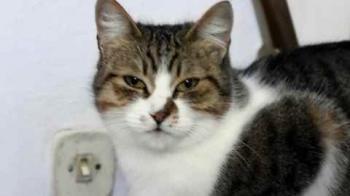 Bild von Miriam