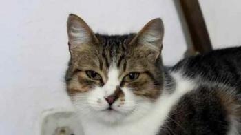 Bild von Miriam