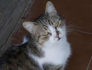 Bild von Miriam