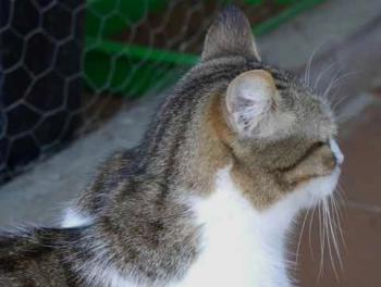 Bild von Miriam