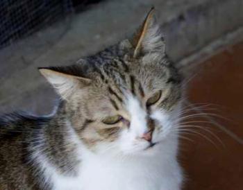 Bild von Miriam