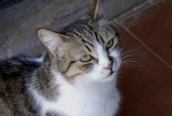 Bild von Miriam