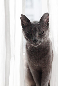 Lumen Bild von Lumen