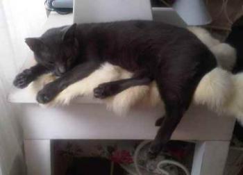 Lumen Bild von Lumen
