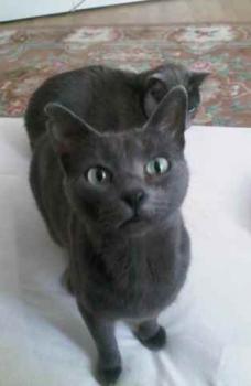 Lumen Bild von Lumen