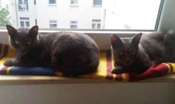 Lumen Bild von Lumen