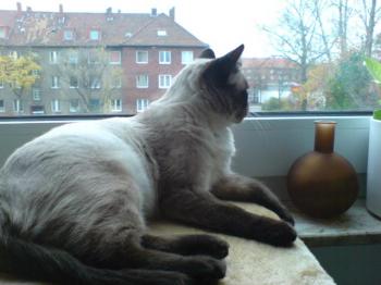 Ronn Bild von Ronn