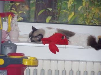 Ina Bild von Ina