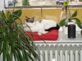 Ina Bild von Ina