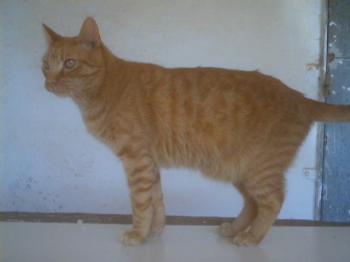 Guliver Bild von Guliver
