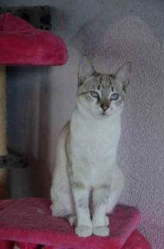Natacha Bild von Natacha