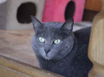 Zulita Bild von Zulita
