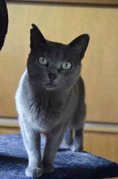 Lumen Bild von Lumen