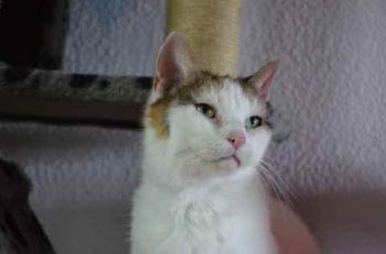Lulu Bild von Lulu