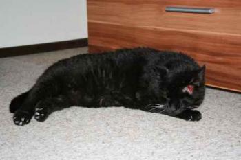 Moritz Bild von Moritz