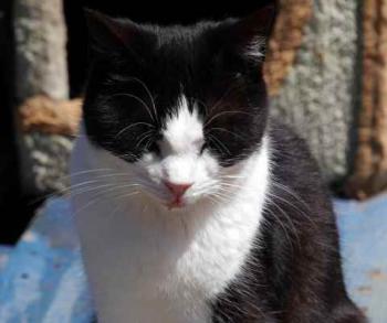 Polly Bild von Polly
