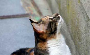 Marie Bild von Marie