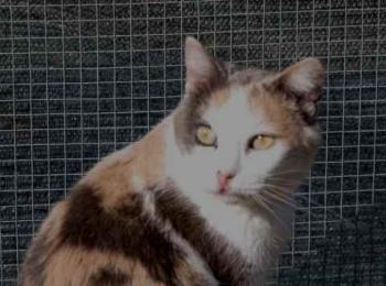 Cara Bild von Cara