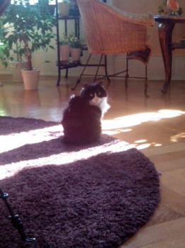 Lucy Bild von Lucy