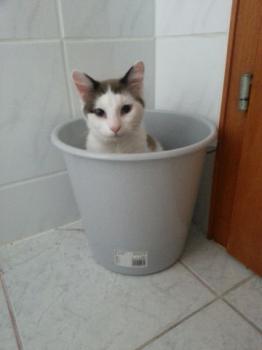 Matiko Bild von Matiko