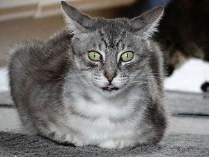 McCloud Bild von McCloud
