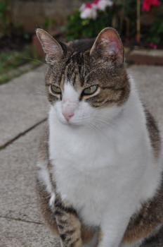 Bild von Mico