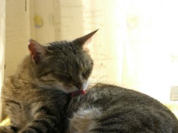 Migoya Bild von Migoya