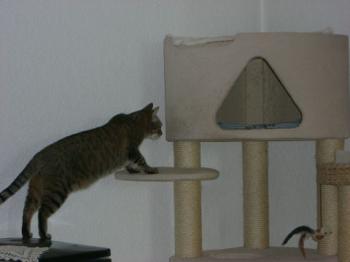 Migoya Bild von Migoya