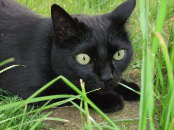 Miki Bild von Miki