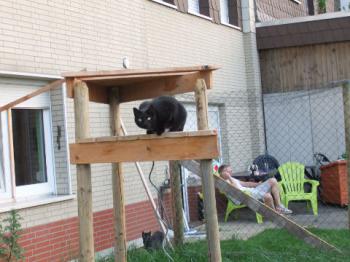 Miki Bild von Miki