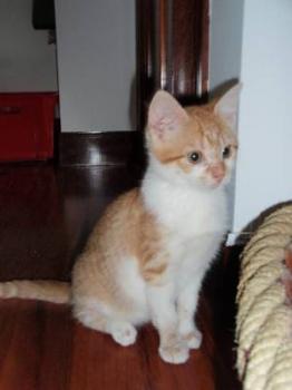 Sugar Bild von Sugar