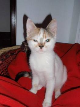 Mia Bild von Mia