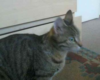 Charleen Bild von Charleen