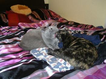 Tina Bild von Tina