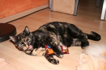 Tina Bild von Tina