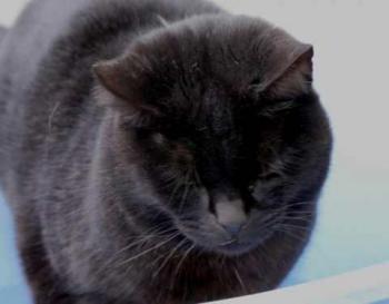Yasemin Bild von Yasemin