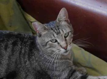 Joschi Bild von Joschi