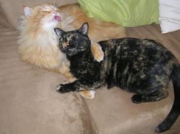 Tina Bild von Tina