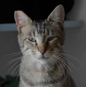 Joschi Bild von Joschi