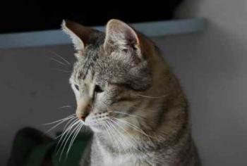 Joschi Bild von Joschi