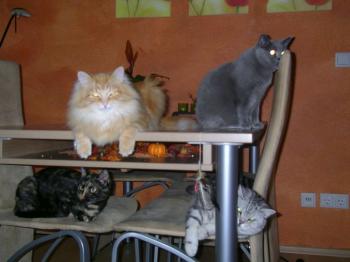 Tina Bild von Tina