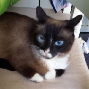 Bild von Gina