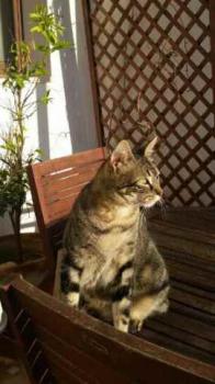 Bild von Trass