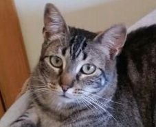 Bild von Trass