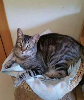 Bild von Trass