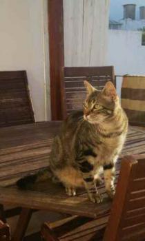 Bild von Trass