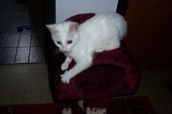 Anna Bild von Anna