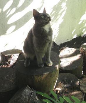 Lali Bild von Lali